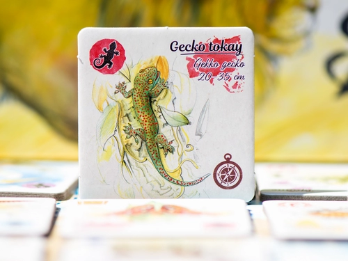 Gecko